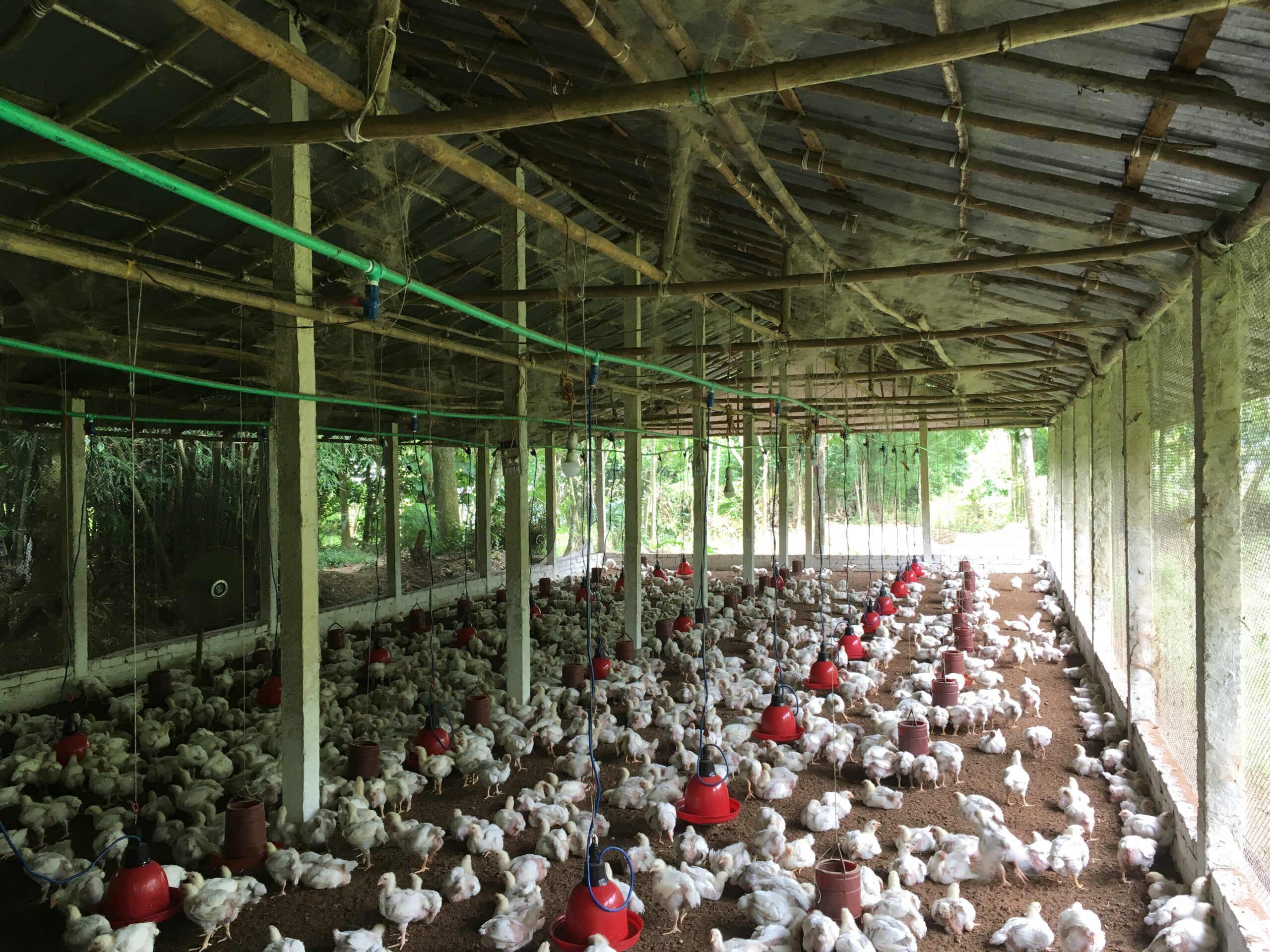 Nandanpur